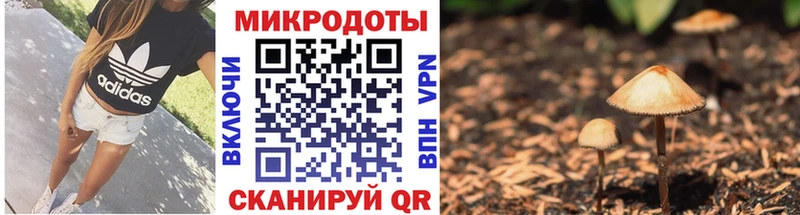 где купить наркоту Кимры Галлюциногенные грибы GOLDEN TEACHER