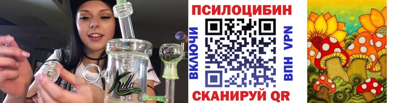 Галлюциногенные грибы Magic Shrooms Кимры