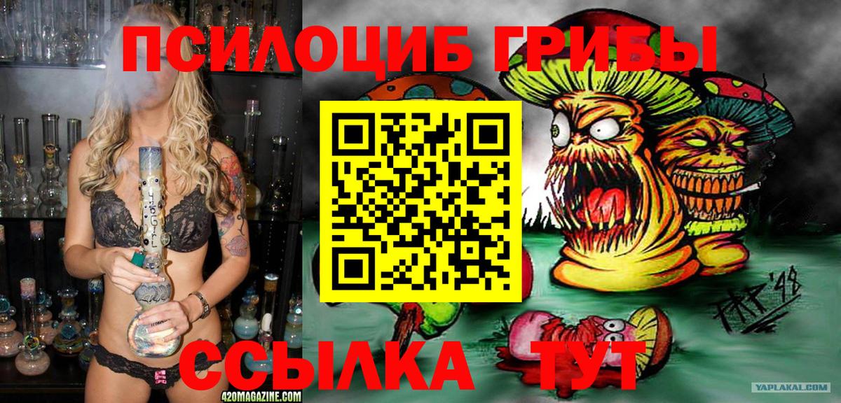 Псилоцибиновые грибы мицелий Кимры