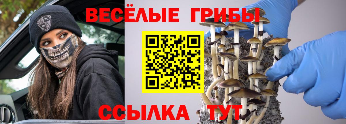 Кимры  Галлюциногенные грибы Magic Shrooms  дарнет шоп  Вход с VPN  Псилоцибиновые грибы прущие грибы 